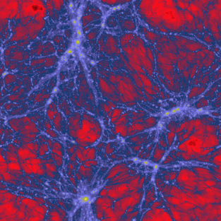 125 million collisionless cold dark matter particles (Thompson & Nagamine, 2010)