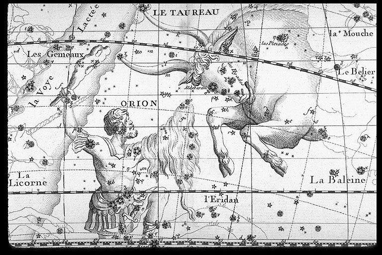 Orion & Taurus