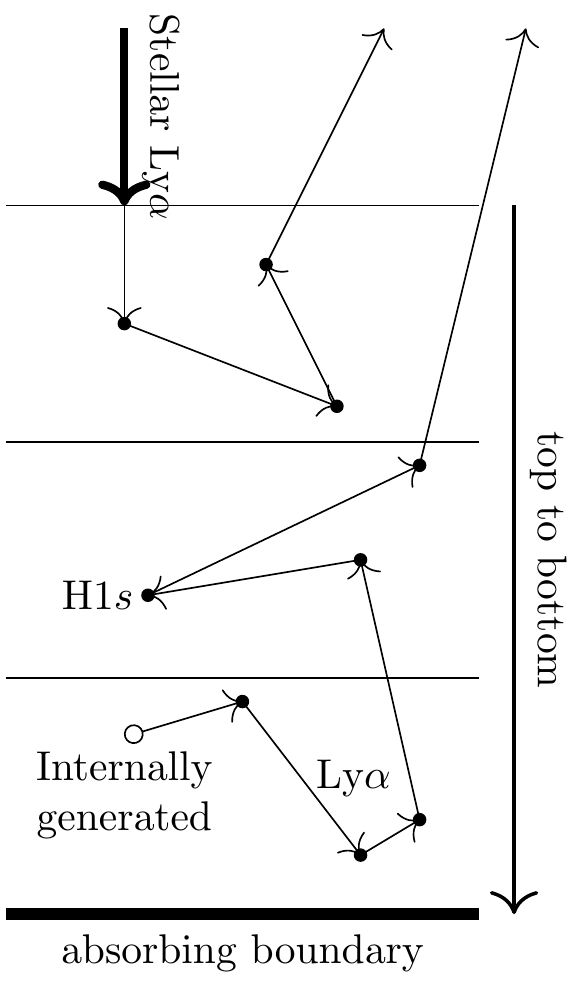 Illustration of the Monte-Carlo simulation for Lyα