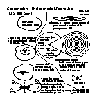 Cartoon of the evolution of a massive star.